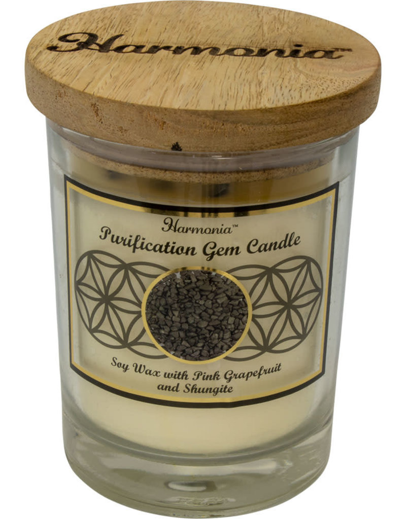 HC - Purification Shungite Soy Candle