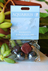 Stone Set- Aquarius- Hematite, Bloodstone- 126AQ