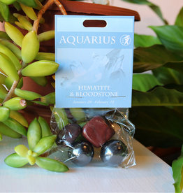 Stone Set- Aquarius- Hematite, Bloodstone- 126AQ
