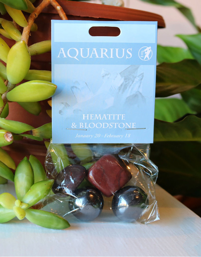 Stone Set- Aquarius- Hematite, Bloodstone- 126AQ