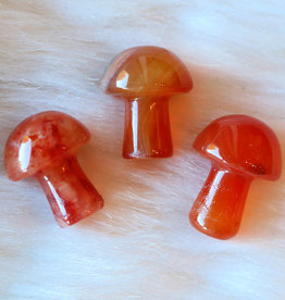 Carnelian Mushroom - M-CA