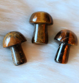 Tigers Eye Mushroom