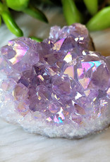 Amethyst Aura Cluster - CLUAMAURAB