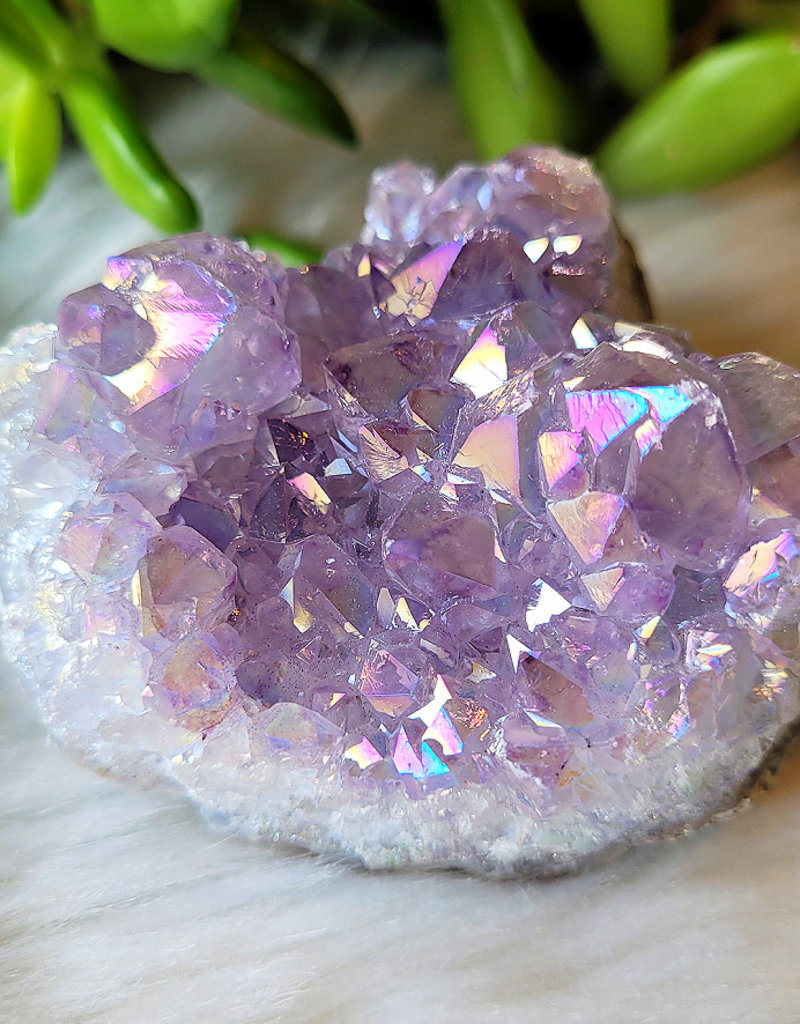 Amethyst Aura Cluster