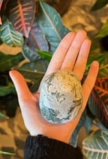 Tree Agate Palm Stone - Jumbo