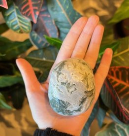 Tree Agate Palm Stone - Jumbo