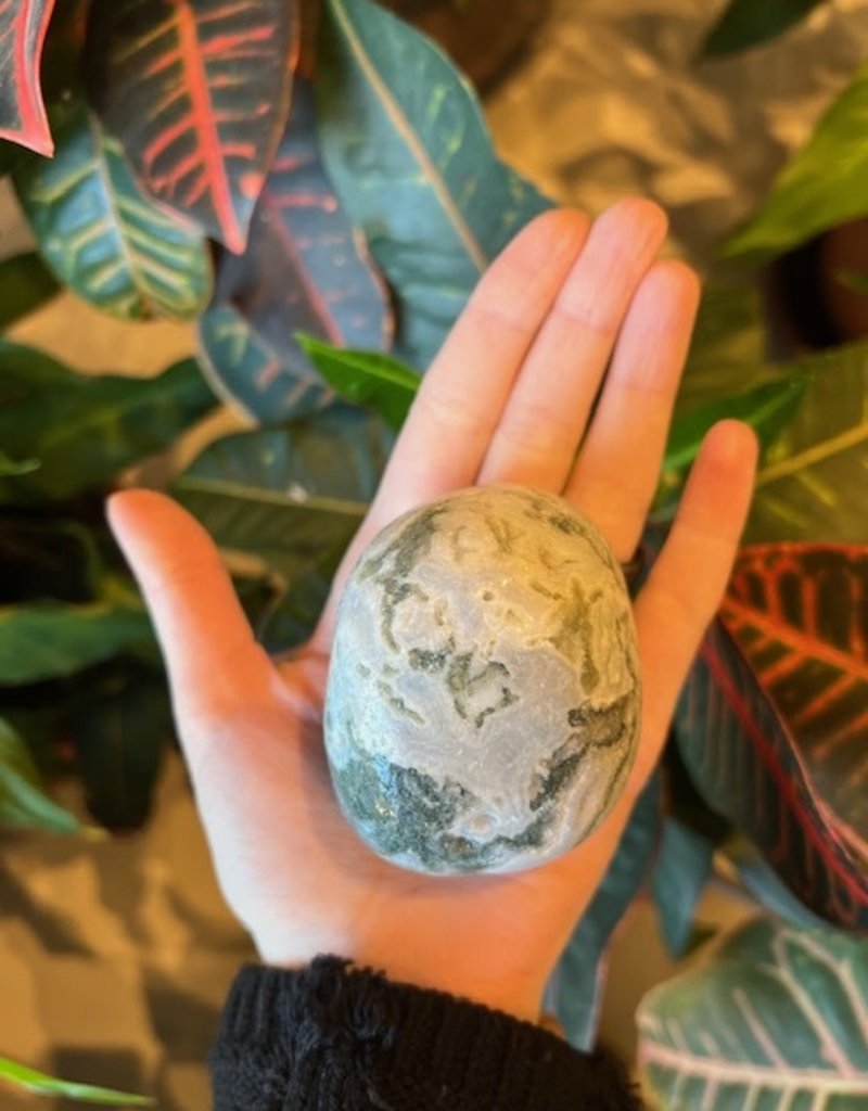 Tree Agate Palm Stone - Jumbo