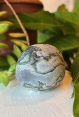 Tree Agate Palm Stone - Jumbo
