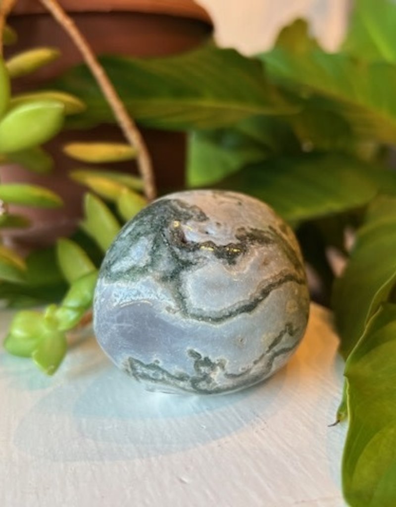 Tree Agate Palm Stone - Jumbo