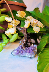 Bonsai Tree- Citrine with Amethyst Base- Small
