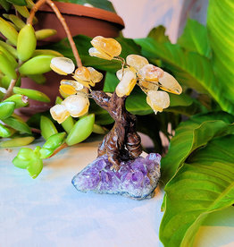 Bonsai Tree- Citrine with Amethyst Base- Small