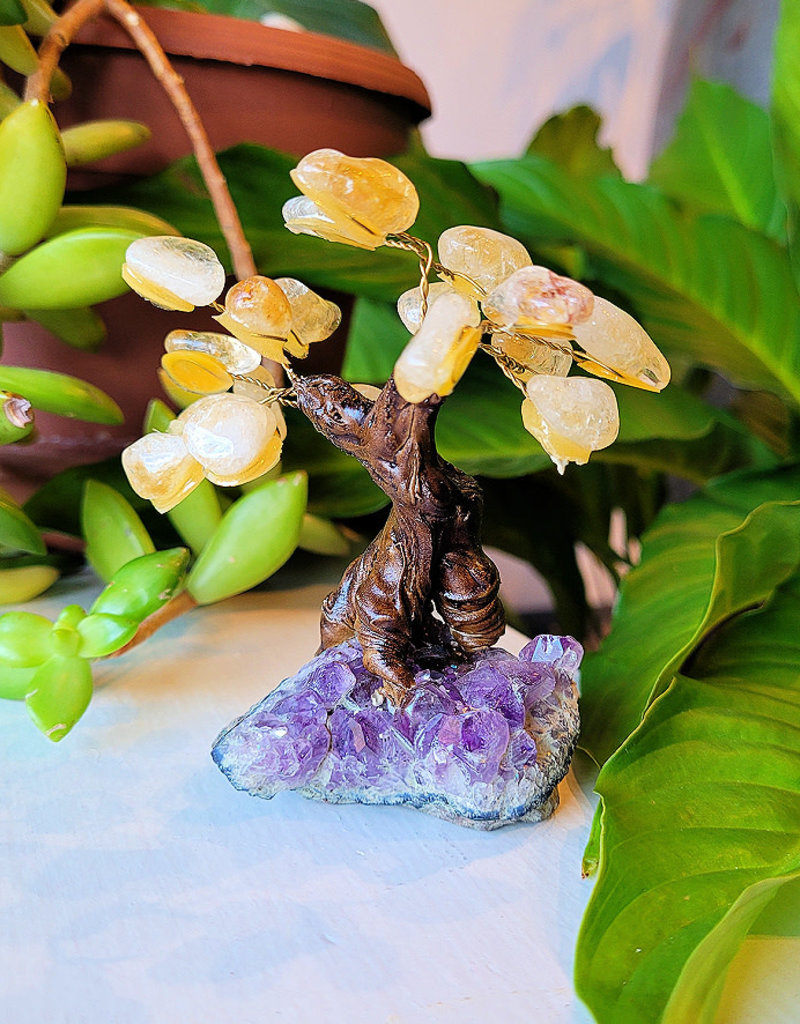 Bonsai Tree- Citrine with Amethyst Base- Small