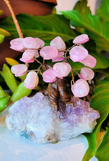 Bonsai Tree- Rose Quartz with Amethyst