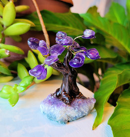 Bonsai Tree- Amethyst with Amethyst Base SM