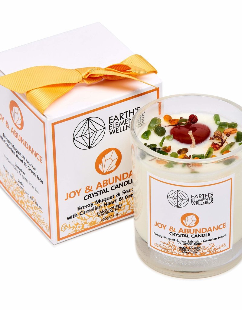 EE - Joy and Abundance Crystal Intention Candle