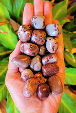Scenic Jasper Tumbled Stone