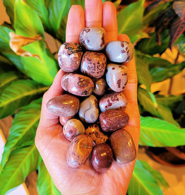 Scenic Jasper Tumbled Stone