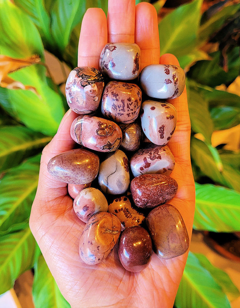 Scenic Jasper Tumbled Stone