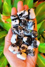 Zebra Jasper Tumble