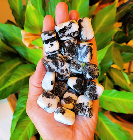 Zebra Jasper Tumble