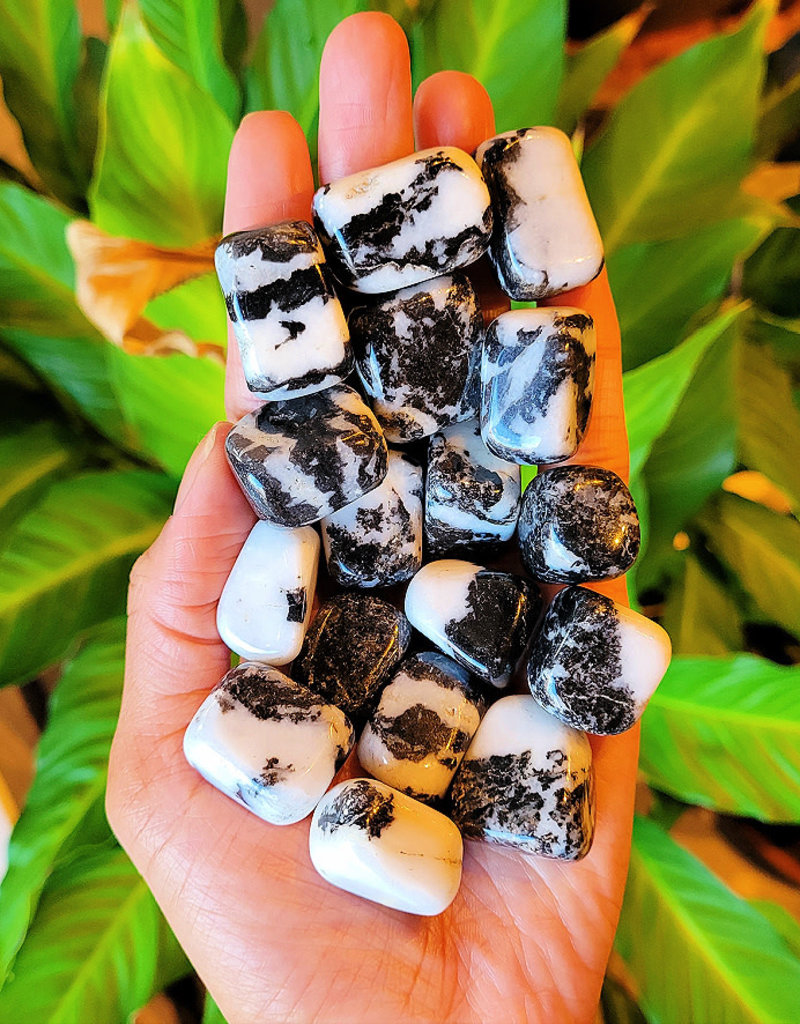 Zebra Jasper Tumble