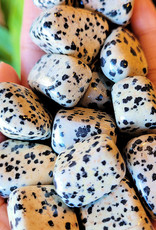 Dalmatian Jasper