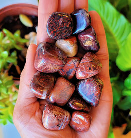 Breciated Jasper Tumble