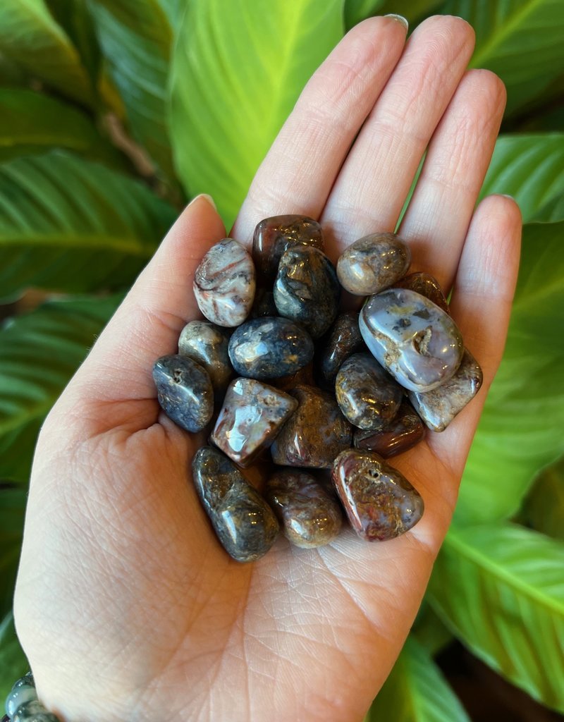 Pietersite Tumble