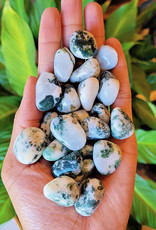 Tree Agate Tumble