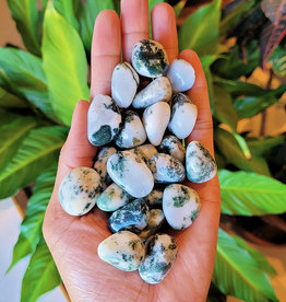 Tree Agate Tumble
