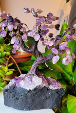 Bonsai Tree- Amethyst with Amethyst Base XLG