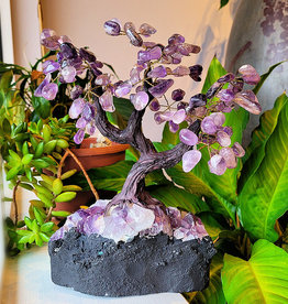 Bonsai Tree- Amethyst with Amethyst Base XLG