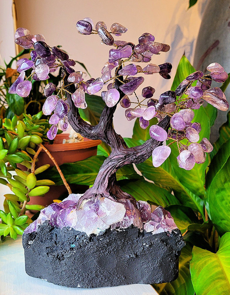 Bonsai Tree- Amethyst with Amethyst Base XLG