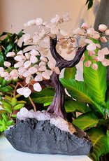 Bonsai Tree- Rose Quartz with Amethyst Base- XLG - TREERQZ10