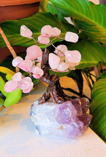 Bonsai Tree- Rose Quartz  with Amethyst Base- Med - TREERQZ5