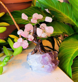 Bonsai Tree- Rose Quartz  with Amethyst Base- Med - TREERQZ5