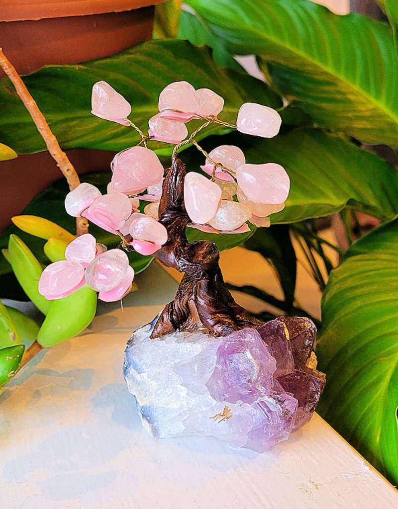 Bonsai Tree- Rose Quartz  with Amethyst Base- Med - TREERQZ5