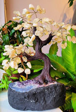Bonsai Tree- Citrine with Amethyst Base XLG