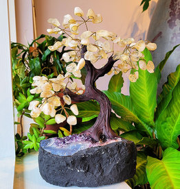 Bonsai Tree- Citrine with Amethyst Base XLG - TREECIT10