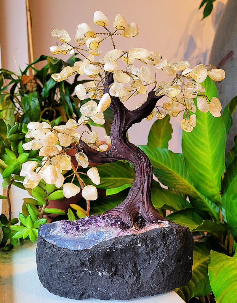 Bonsai Tree- Citrine with Amethyst Base XLG