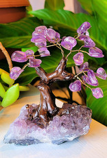 Bonsai Tree- Amethyst with Crystal Base - Med