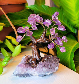 Bonsai Tree- Amethyst with Crystal Base - Med