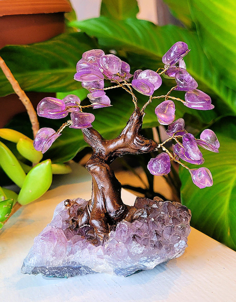 Bonsai Tree- Amethyst with Crystal Base - Med - TREEAME5