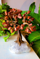 Bonsai Tree- Red Jasper with Amethyst Base