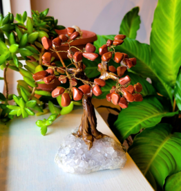 Bonsai Tree- Red Jasper with Amethyst Base