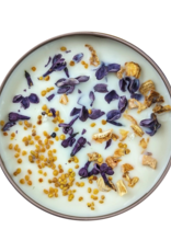 A&R- Nectar: Lilac, Lemon, Honey Candle- 4 oz