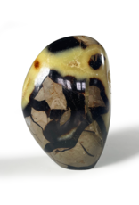 Septarian Free Form