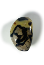 Septarian Free Form