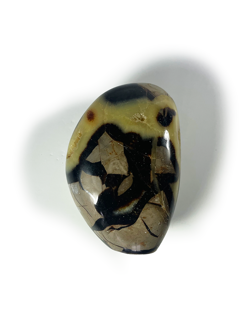 Septarian Free Form