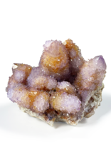 Cactus Amethyst Druze